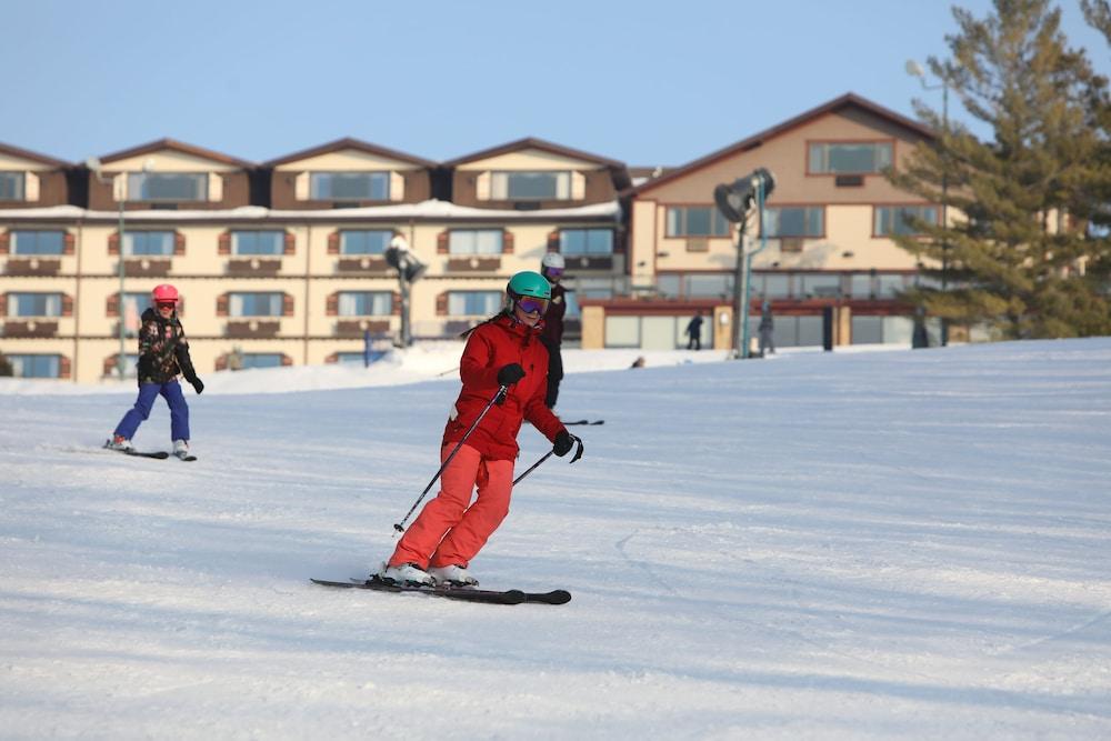 Chestnut Mountain Resort ガリーナ エクステリア 写真