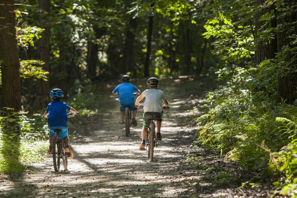 Chestnut Mountain Resort ガリーナ エクステリア 写真