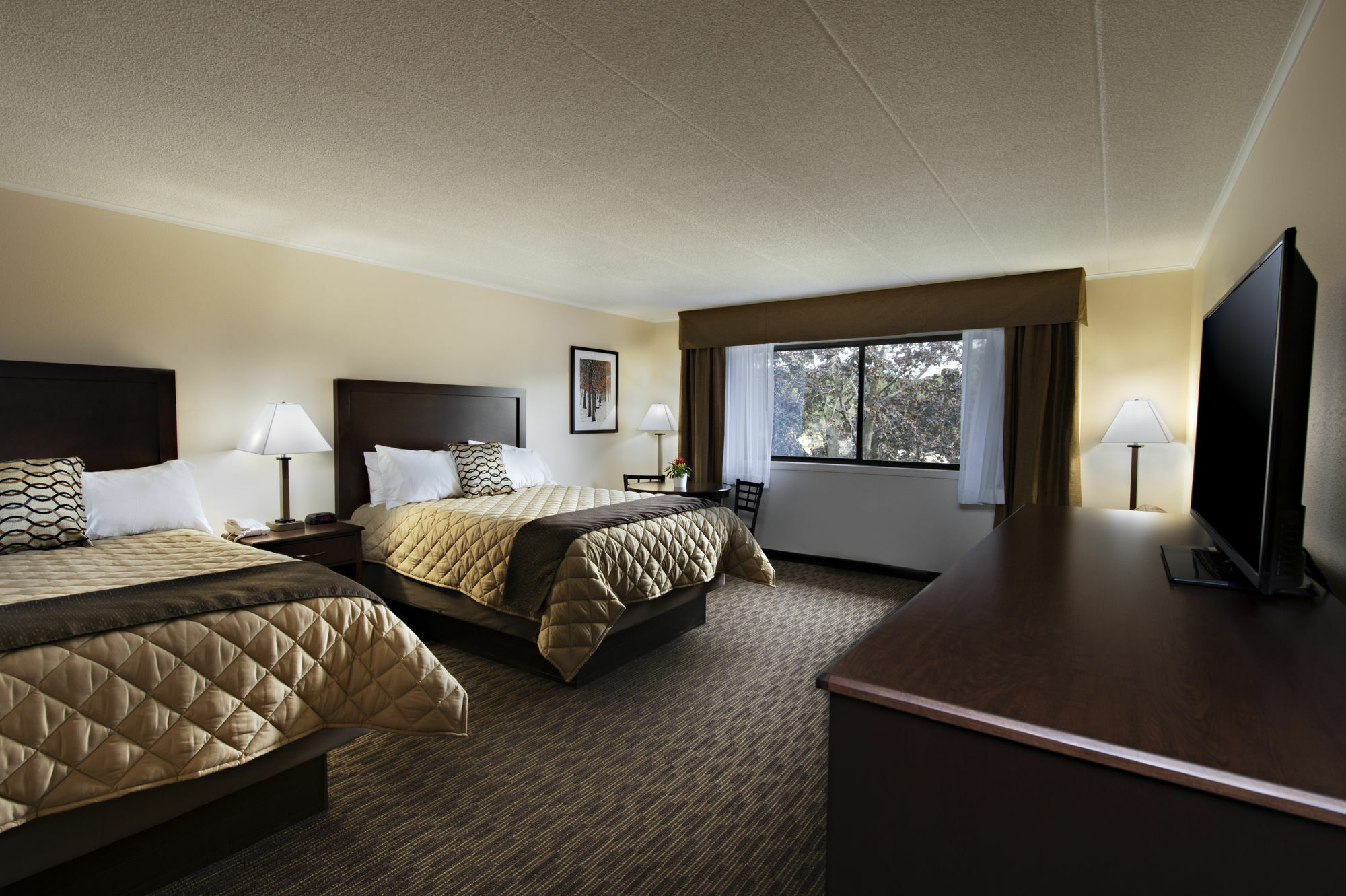 Chestnut Mountain Resort ガリーナ エクステリア 写真