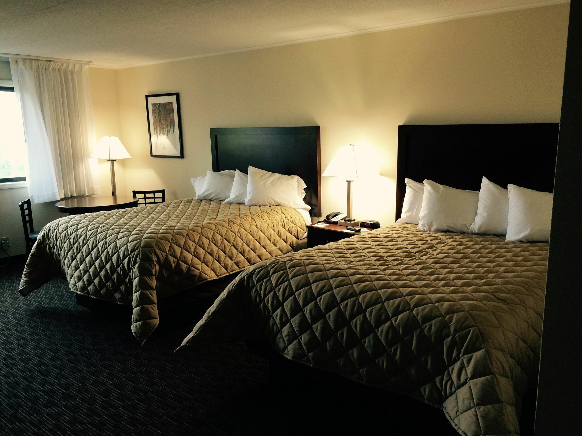 Chestnut Mountain Resort ガリーナ エクステリア 写真